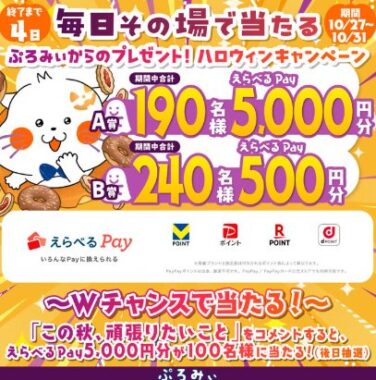 最大5,000円分のえらべるPayがその場で当たるX懸賞
