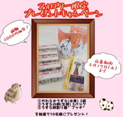 うずらのたまご スターターセット