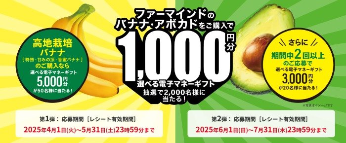 Wチャンスもアリ！電子マネーギフトが当たる、ファーマインドのレシート懸賞