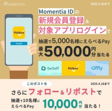 えらべるPay 1万円分