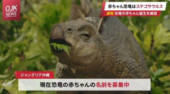 10万円分の旅行券＋ジャングリア沖縄 1Dayチケットが当たる名前投稿キャンペーン