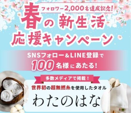 今治タオル わたのはなNo.3