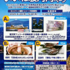 駿河湾フェリー片道乗船券＋水族館チケット＋ギフトカード 2,000円分 他