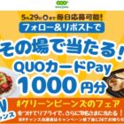 QUOカードPay 1,000円分