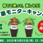 ハーブ苗 商品モニター