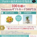 Amazonギフトカード 500円分