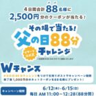 ピザーラネットクーポン 2,500円分