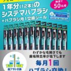 ハブラシ 1年分