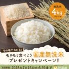 国産無洗米4kgが20名様にその場で当たるXキャンペーン