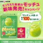 毎日100名様にモッチュ詰め合わせが当たる毎日応募Xキャンペーン