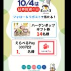 ハーゲンダッツギフト券 / やえらべるPay 300円分