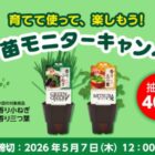 ハーブ苗モニター