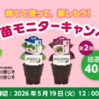 エスビー食品のハーブ苗モニター募集キャンペーン