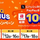 PayPayポイント 10,000円相当