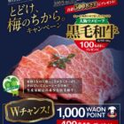 大阪ウメビーフ / 1,000WAON POINT
