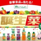星野リゾート宿泊ギフト、家電など
