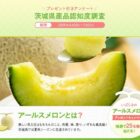 最高級の茨城県産アールスメロンが当たる、茨城県認知度アンケート懸賞