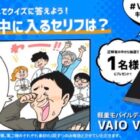 モバイルディスプレイ VAIO Vision+ 14