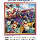 ディズニーシー 1デーパスポート＋ドリームス・テイク・フライト」鑑賞券 他