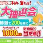PayPayポイント 1,000円分