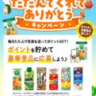 カゴメ商品詰め合わせやえらべるPayも当たるポイントキャンペーン