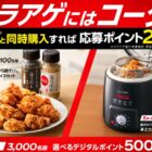 レンジでチンするから揚げ2.7kg＆ほりにしスパイスセットも当たるレシート懸賞