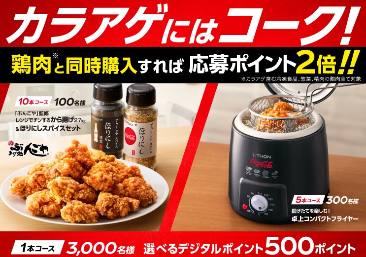 レンジでチンするから揚げ2.7kg＆ほりにしスパイスセットも当たるレシート懸賞