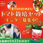 めちゃラク！トマト栽培セット商品モニター