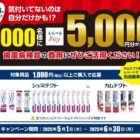 えらべるPay 5,000円分