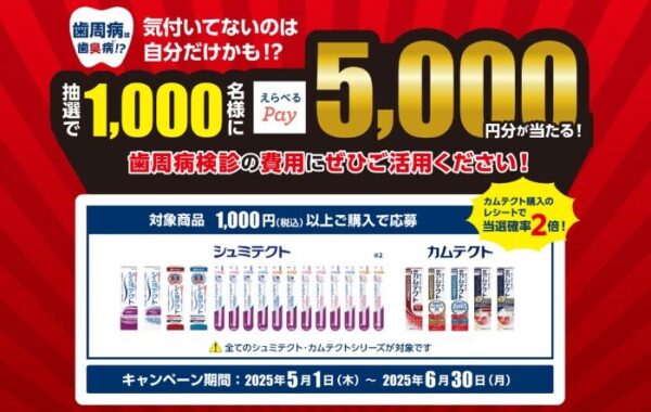 5,000円分のえらべるPayが1,000名様に当たるレシートキャンペーン
