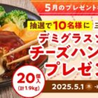 デミグラスソースのチーズハンバーグ 20個入 計1.9kg