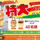 特大プッチンプリンバッグ / えらべるPay 500円分