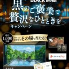 星野リゾート宿泊ギフト 5万円分 / びらとり和牛ハンバーグセット / えらべるPay 300円分