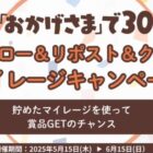 ワッツの人気商品セットやオリジナルグッズが当たるポイントキャンペーン