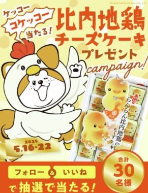比内地鶏チーズケーキ