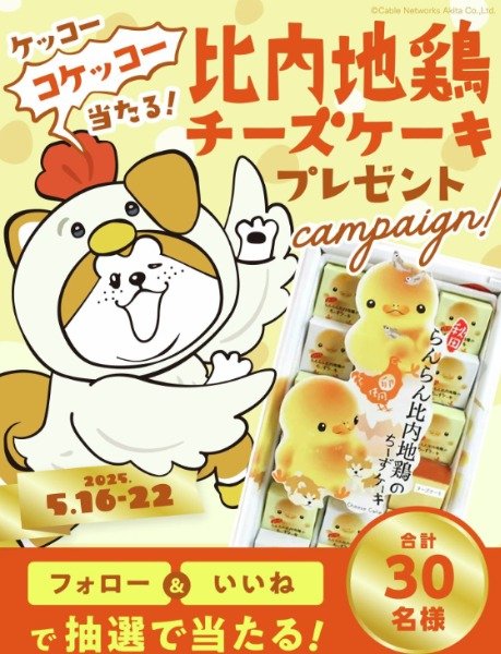 比内地鶏チーズケーキが30名様に当たるInstagramプレゼント懸賞