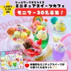 『ミニチュアスイーツカフェ』モニター