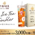MY ICE TEA TUMBLER BOX