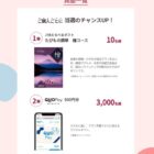 カタログギフト / QUOカードPay 500円分