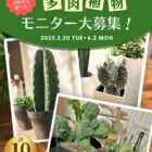 多肉植物の栽培＆撮影モニター
