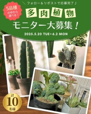 多肉植物の栽培＆撮影モニター募集キャンペーン