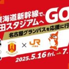 名古屋グランパス観戦チケット