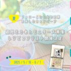 蔵熟（くらうまし）そうめん 2袋