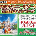 ディズニーリゾート パークチケット