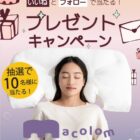 cocochi factoryの人気熟睡枕が10名様に当たるプレゼントキャンペーン