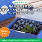 有機ブルーベリー500gが当たるLINEプレゼントキャンペーン