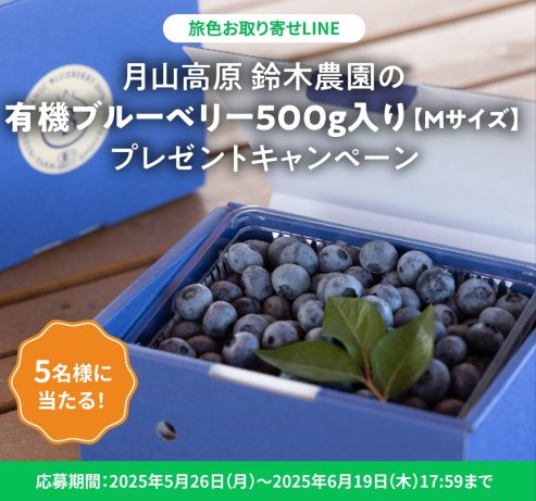 有機ブルーベリー500gが当たるLINEプレゼントキャンペーン