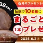 まるごと叉焼 商品モニター