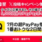 PayPayポイント 5,000円相当