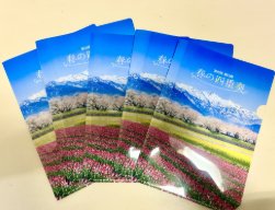 あさひ舟川「春の四重奏」のクリアファイルが5名様に当たるアンケート懸賞